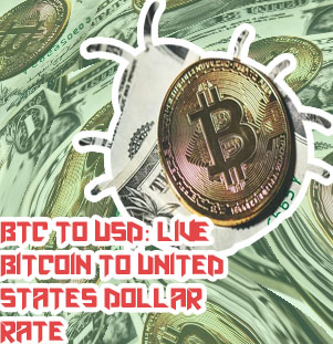 Bitcoin dolar grafico