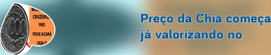 Chia moeda valor